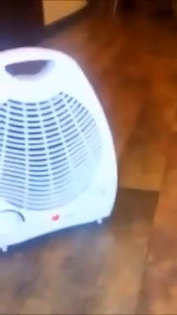 ЧЕГО НЕ ХВАТАЕТ В ТАЙГЕ ДИКОМУ КОТУ смотреть онлайн