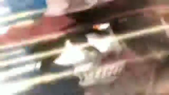 Аниме клип Хеллсинг