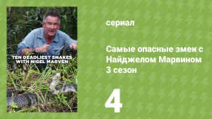 Самые опасные змеи с Найджелом Марвином 3 сезон 4 серия «Аравия» (документальный сериал, 2017)