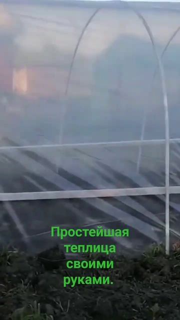 Бюджетная теплица своими руками. смотреть онлайн
