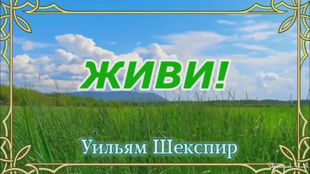 Просто живи! Замечательные слова.
Замечательная музыка. Замечательная природа смотреть онлайн