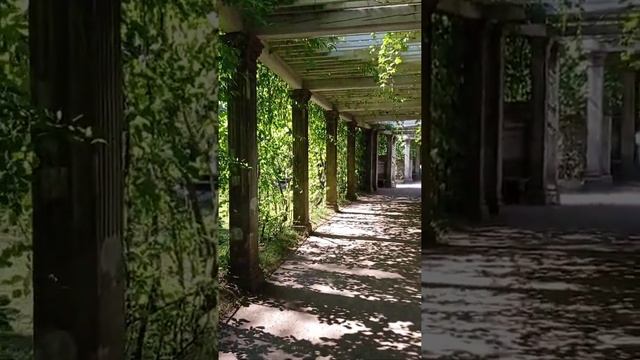 парк, "царское село" смотреть онлайн