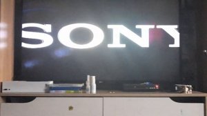 Реклама На DVD-Диск Конь Юлий И Большие Скачки (2020)