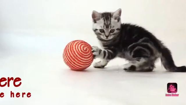 Как вам мою интро может быть скоро будет в видосах исли вам понравится