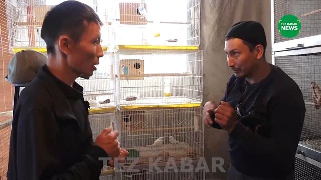 ТОТУ КУШТУ Кантип СҮЙЛӨТСӨ БОЛОТ