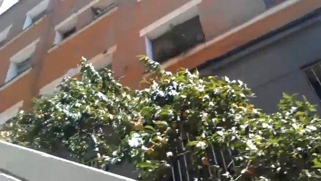 День 2 по дороге в парк гуэль смотреть онлайн