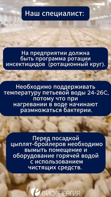 Поможем вам в любой проблеме!