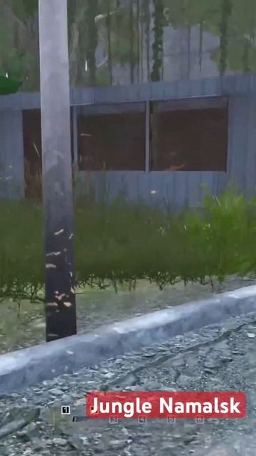 Никогда не разговаривай с незнакомцами. #dayz #Namalsk #junglenamalsk #shorts смотреть онлайн