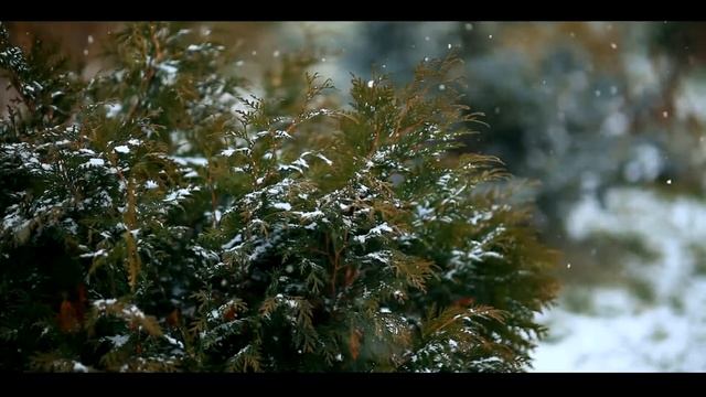 Дмитрий и Ирина смотреть онлайн