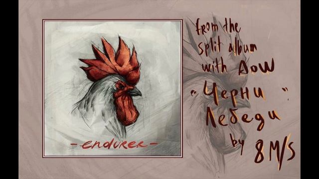 8m/s - Черни Лебеди ( Black Swans ) (Official Audio)