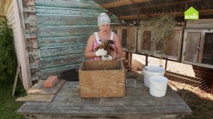 ГНЕЗДО ДЛЯ КУРИЦЫ-НАСЕДКИ. Как правильно обустроить гнездо для квочки. Разводим птицу. Птицеводство