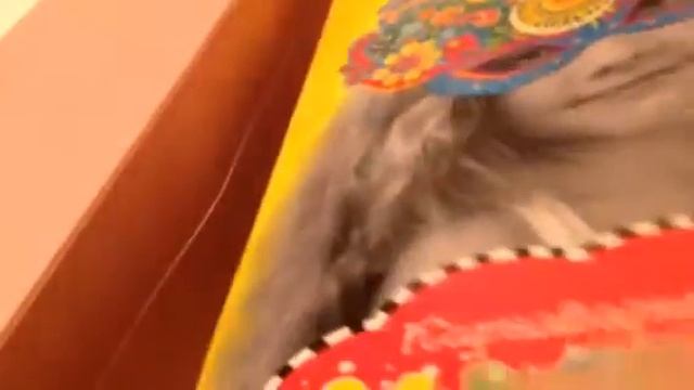 Всё для ЛД и рисунки по клеточкам смотреть онлайн