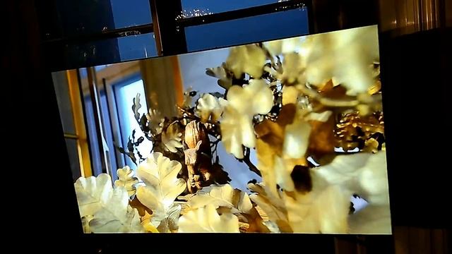 Эрмитаж Часы Павлин 12 февраля 2017 смотреть онлайн