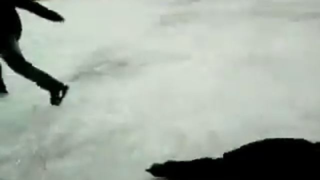 коженский джигурда встал на коньки:D