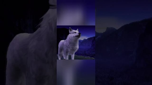 какая ты оброботка Wild Kraft по имени!!! Ч. О. !