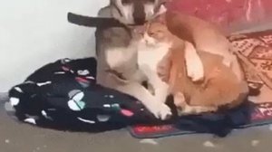 С добрым утром моя хорошая