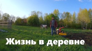 Коровы счастливы, про воду, что на стройке, Беларус фрезерует и другие деревенские новости!