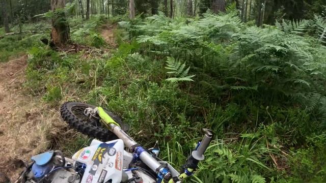 Черничка на Hard Trail 2024