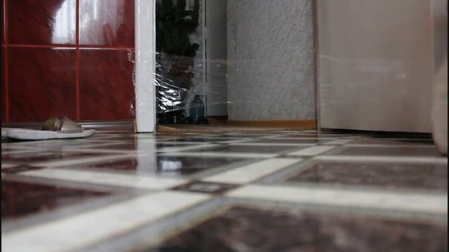 Как прикольно разыграть кота))) смотреть онлайн
