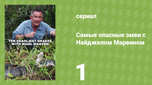 Самые опасные змеи с Найджелом Марвином 1 сезон 1 серия «Китай» (документальный сериал, 2014)