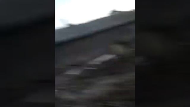 Сломанный дом Дом монстр смотреть онлайн