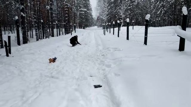 Самурай PKZ0202 петарда 🔥 от Пиро-Каскада