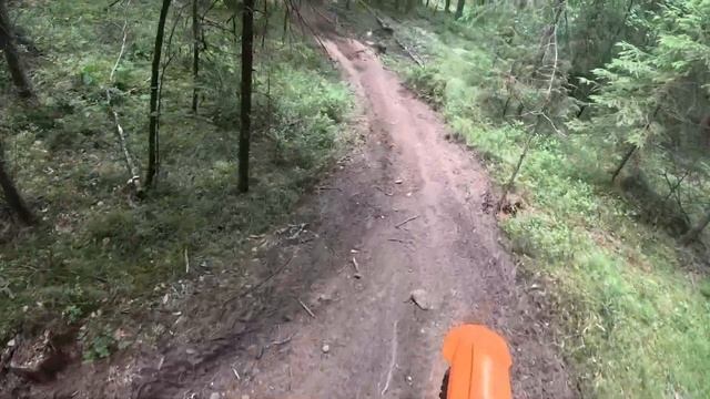 Эндуро гонка Hard Trail 29.06.24, бронза