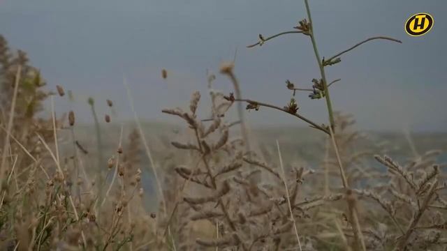 Алексей Кушнаренко в программе 