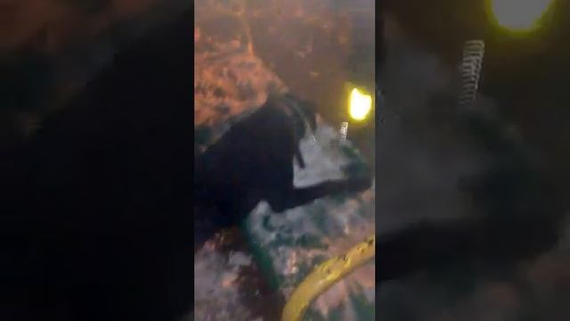 Борьба со снегом смотреть онлайн