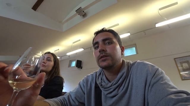 Напились за 800 динар. Винодельня недалеко от Белграда. Дегустация вина в Сербии. Сремски-Карловци смотреть онлайн