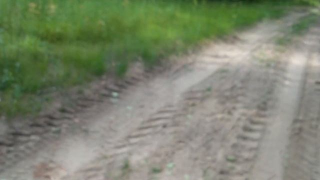 19.ВИДЕО КОП.Лесная дорога. 2 смотреть онлайн