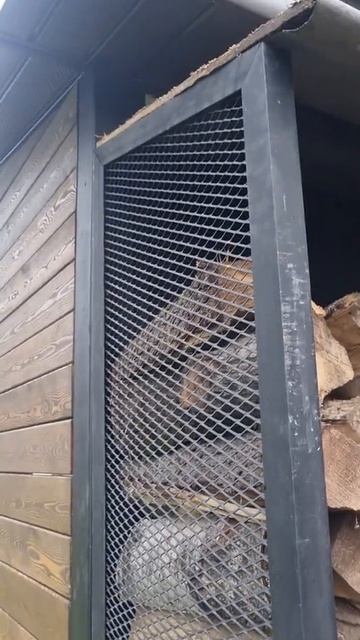 Сделал из декоративной сетки дровник. Просечка ЦПВС сетка 30х12 перемычка 1х3мм Железный слон