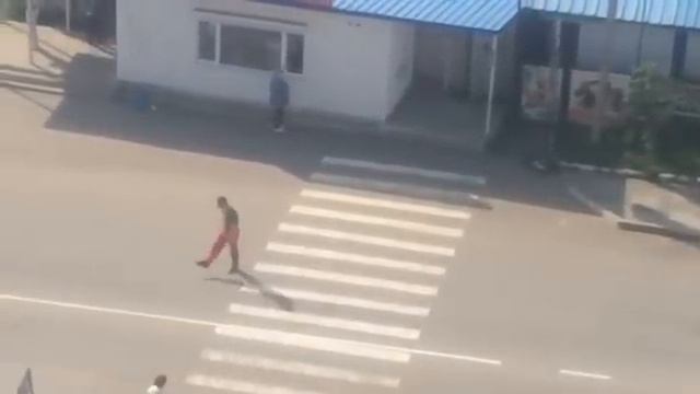 терета шиза