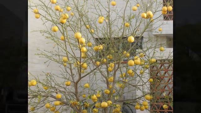 прогулка по городу