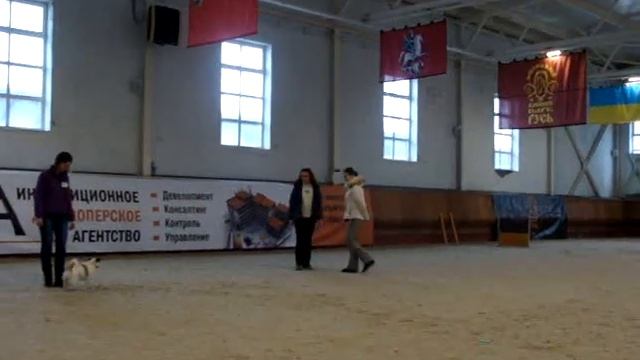 Ангел и обидиенс смотреть онлайн