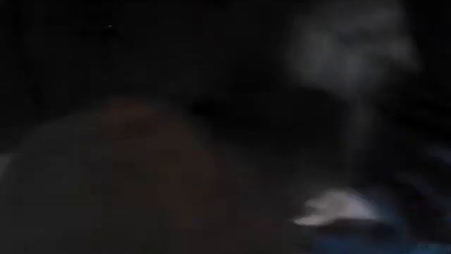 Пьяная белка смотреть онлайн