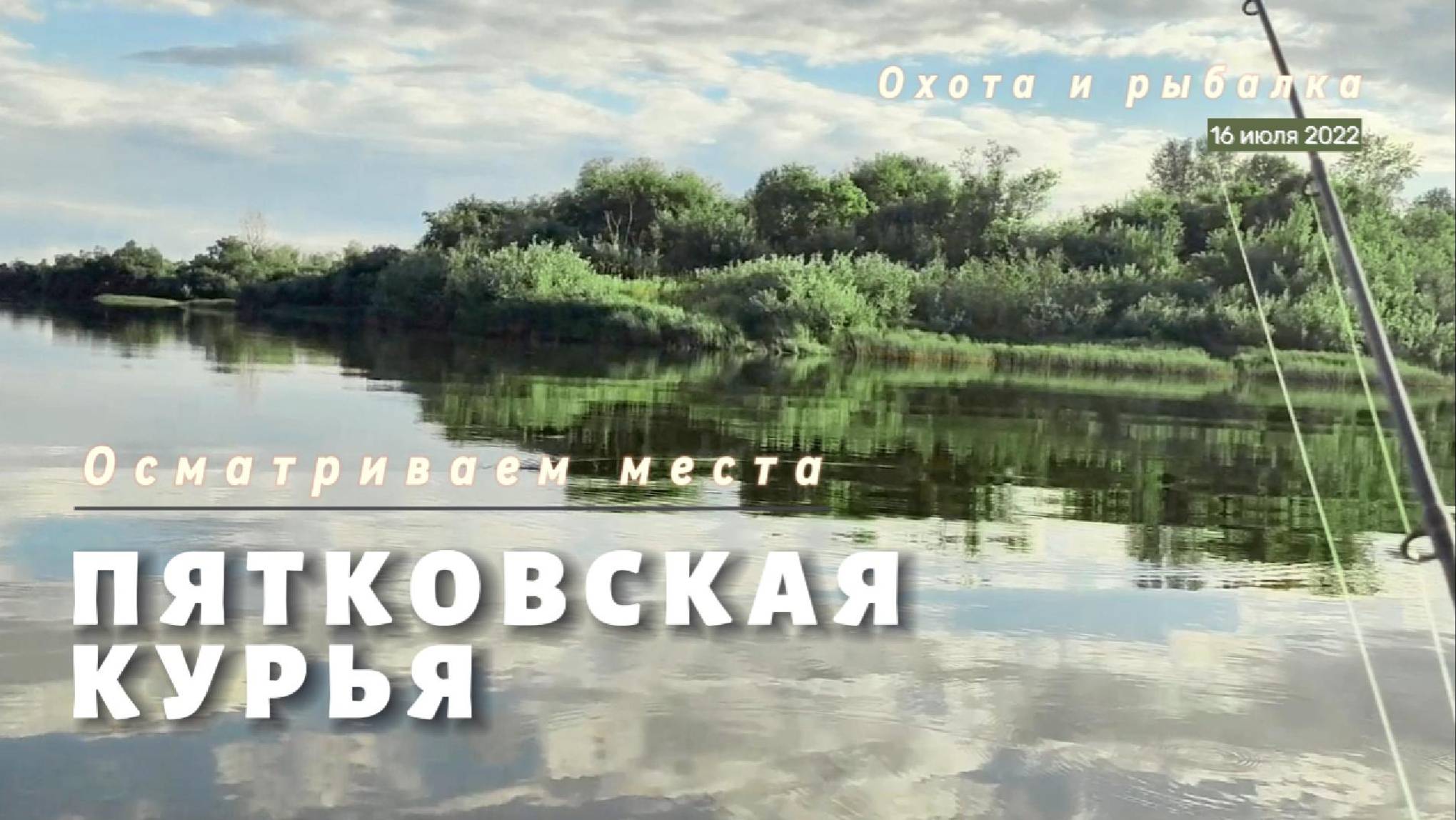 Пятковская курья летом. Осматриваем места.