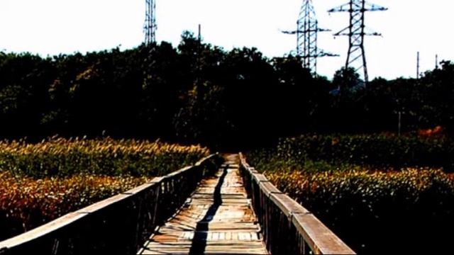 ВАСИЛЬЕВКА. клип Лето в городе смотреть онлайн