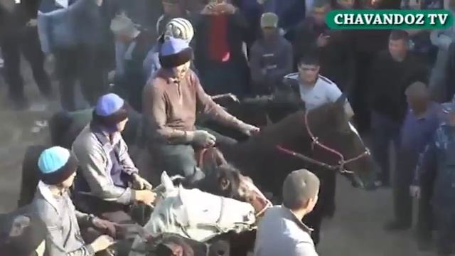 ТОШКЕНТ ВИЛОЯТИ КЎПКАРИ 2019 смотреть онлайн