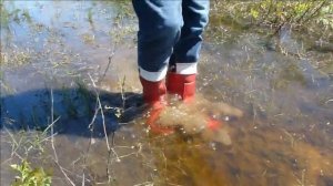 Rubber boots №210 - РЕЗИНОВЫЕ САПОГИ - Akiak (ретро-6)