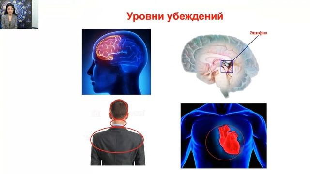 Как убеждения управляют нашей жизнью смотреть онлайн