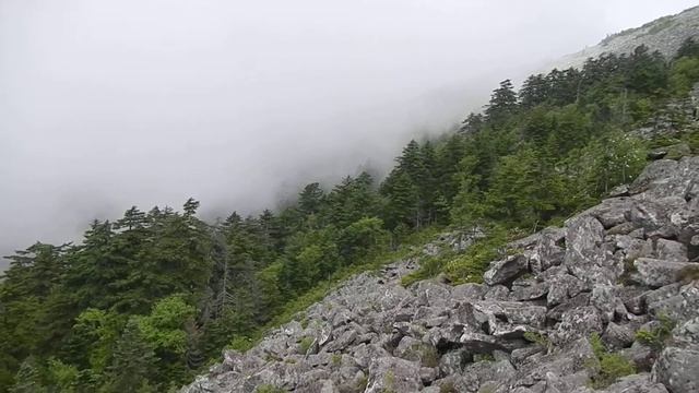 подъём с сыном на Пидан. Почти на вершине.