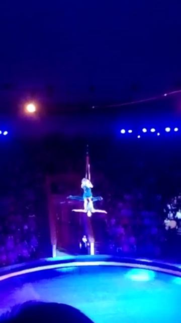 В Краснодаре цирк офигенный