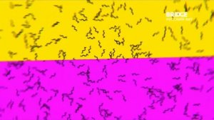 Конец Хитов,И начало WAKE UP CALL(16.10.2024) BRIDGE РУССКИЙ ХИТ