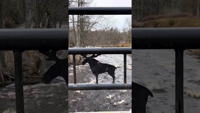 Водопад и парк Кейла-Йоа.