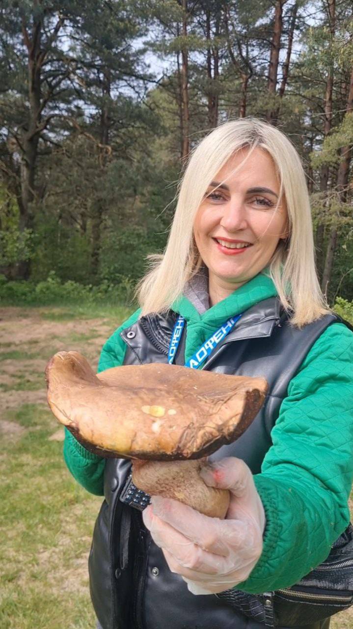 ДУБОВИК КРАПЧАТЫЙ, съедобные первые грибы. сюрпризы от лесовичка смотреть онлайн