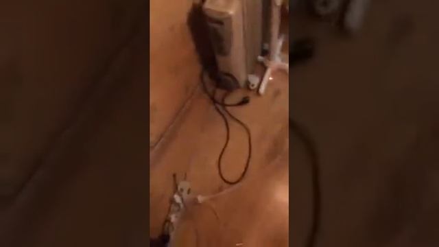 Запоздалоее поздравление!)) смотреть онлайн