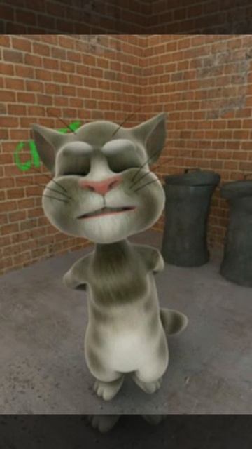 Talking Tom панос
