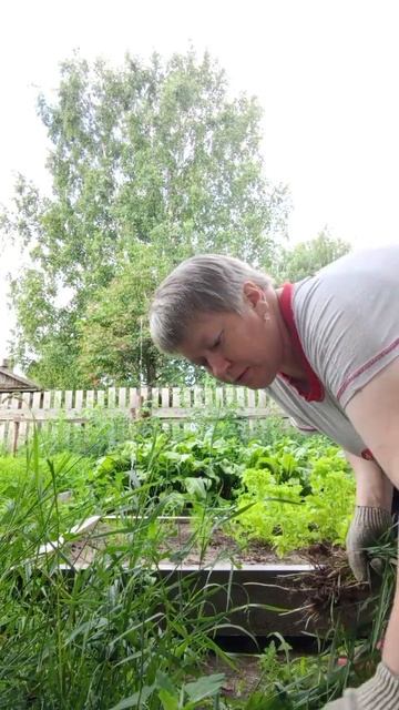 Борьба с сорняками. смотреть онлайн