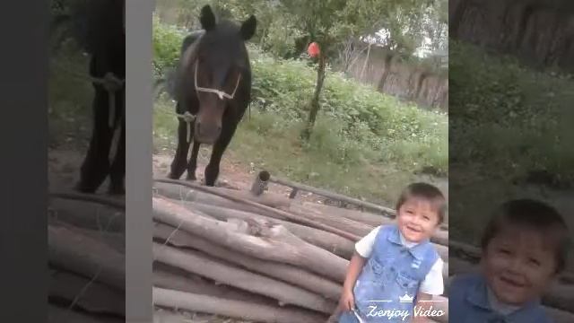 24 июля 2019 г.